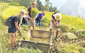 Sa Pa-Lào Cai: Du lịch cộng đồng hút khách từ trải nghiệm văn hóa của đồng bào (30/12/2023)